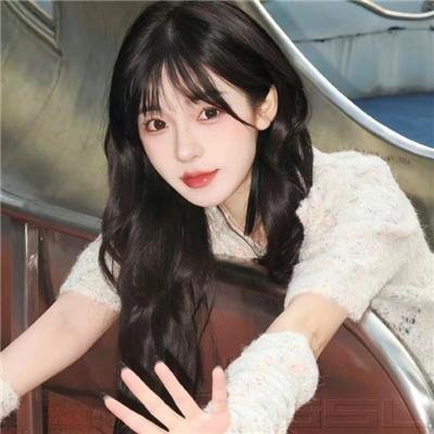 龙牌之谜